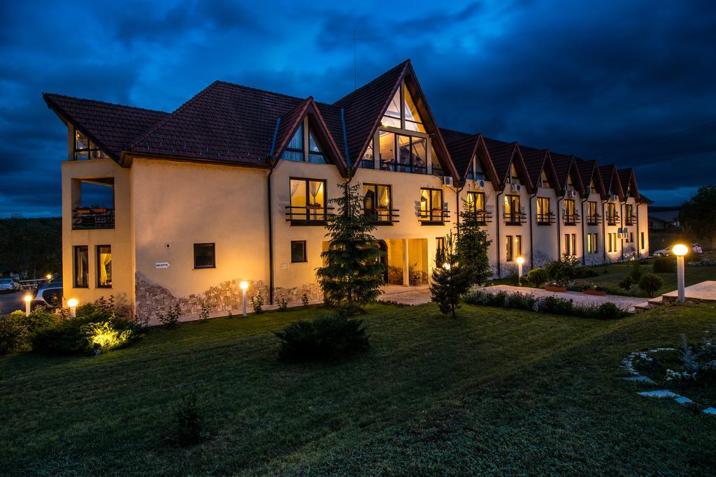 Conacul Archia Hotel Deva Exterior photo